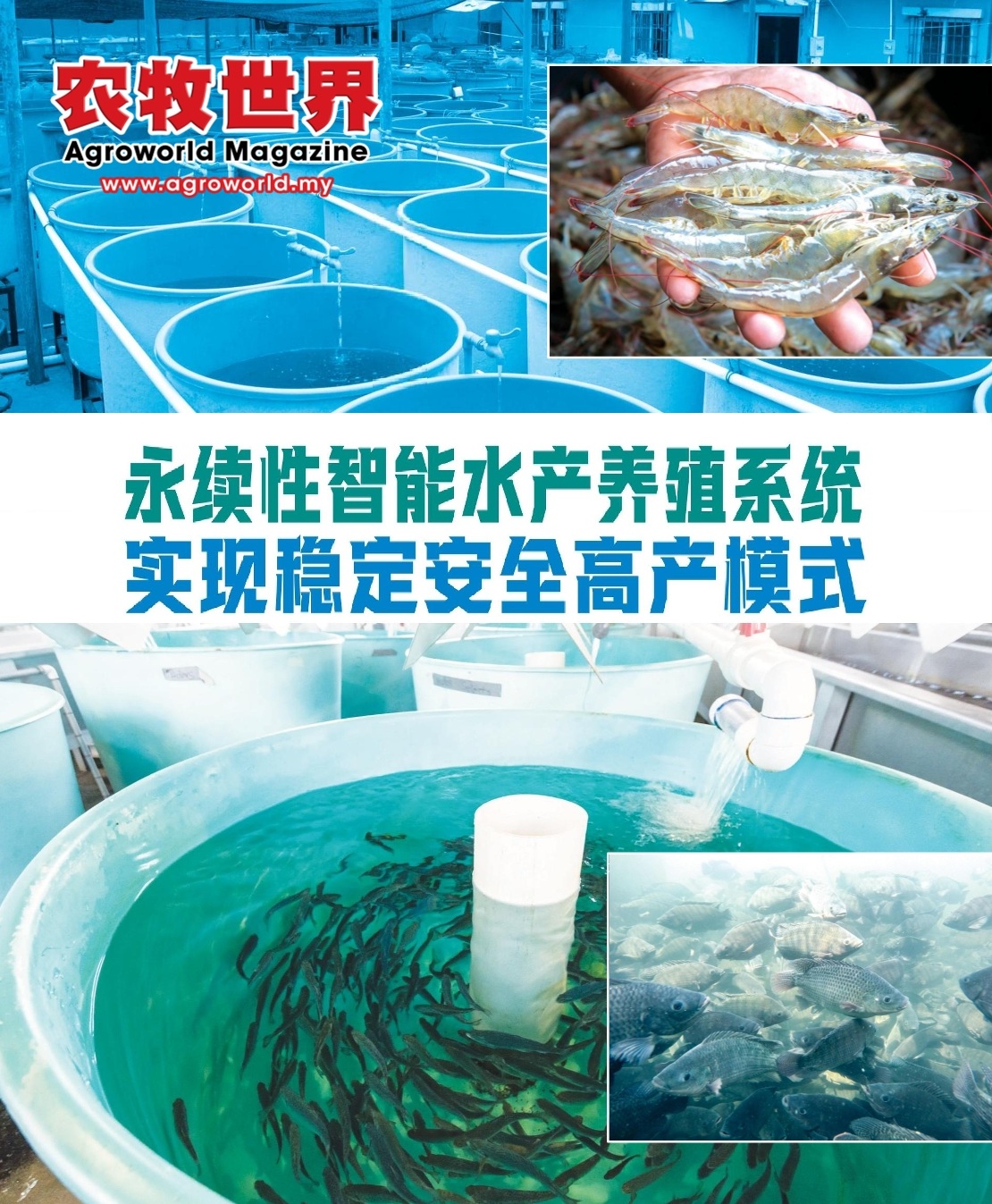永续性智能水产养殖系统  实现稳定安全高产模式 - 农牧世界