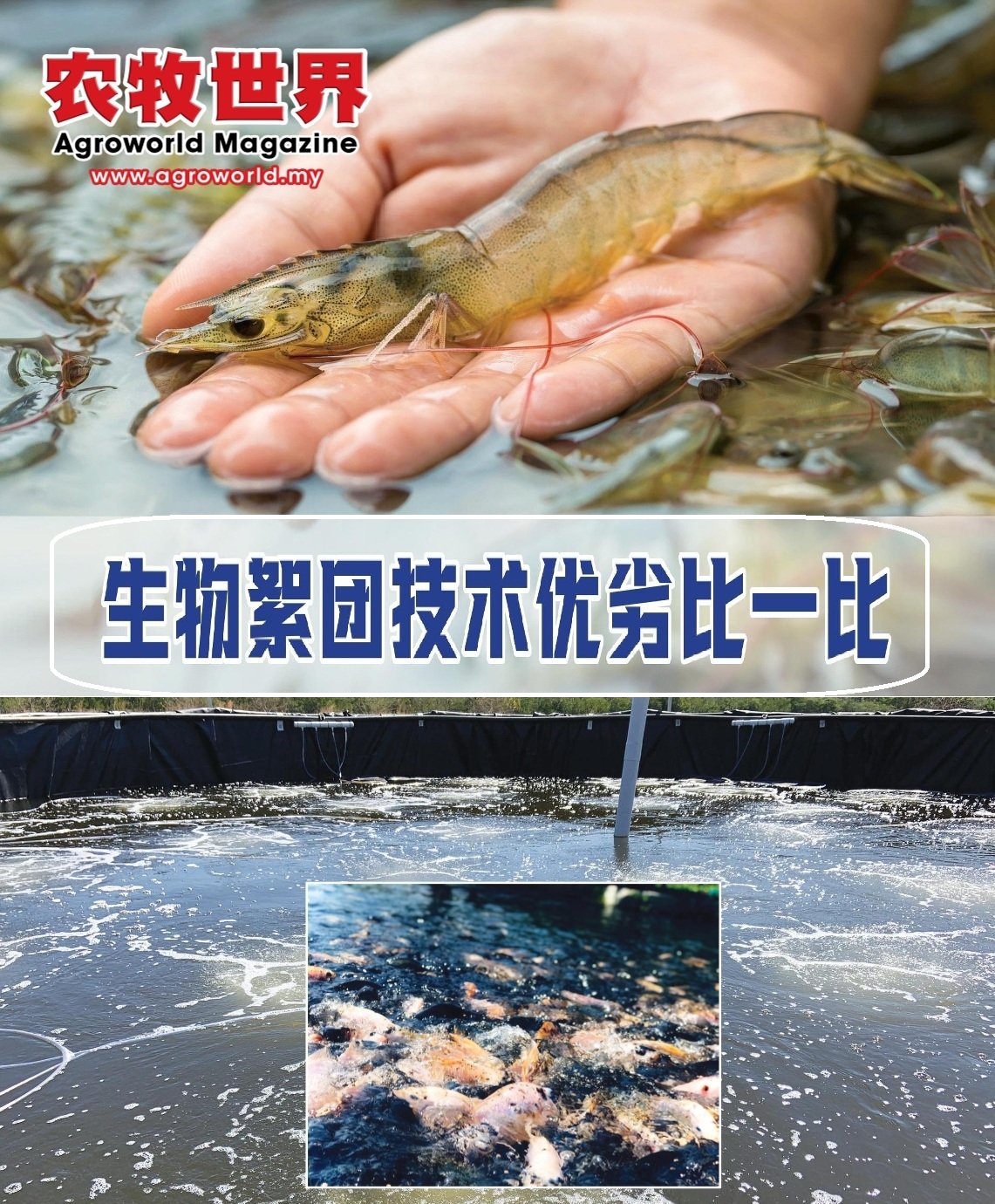 生物絮团技术优劣比一比 - 农牧世界
