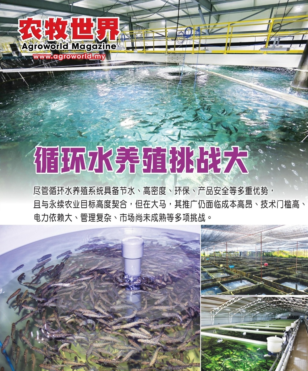 循环水养殖挑战大 - 农牧世界