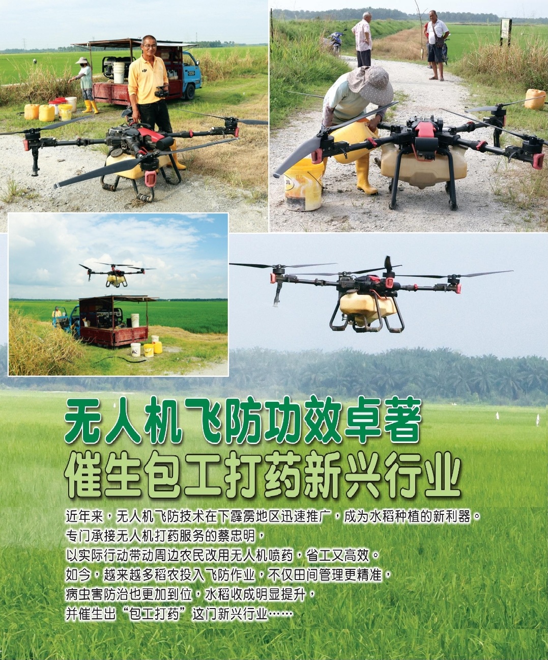 无人机飞防功效卓著  催生包工打药新兴行业 - 农牧世界