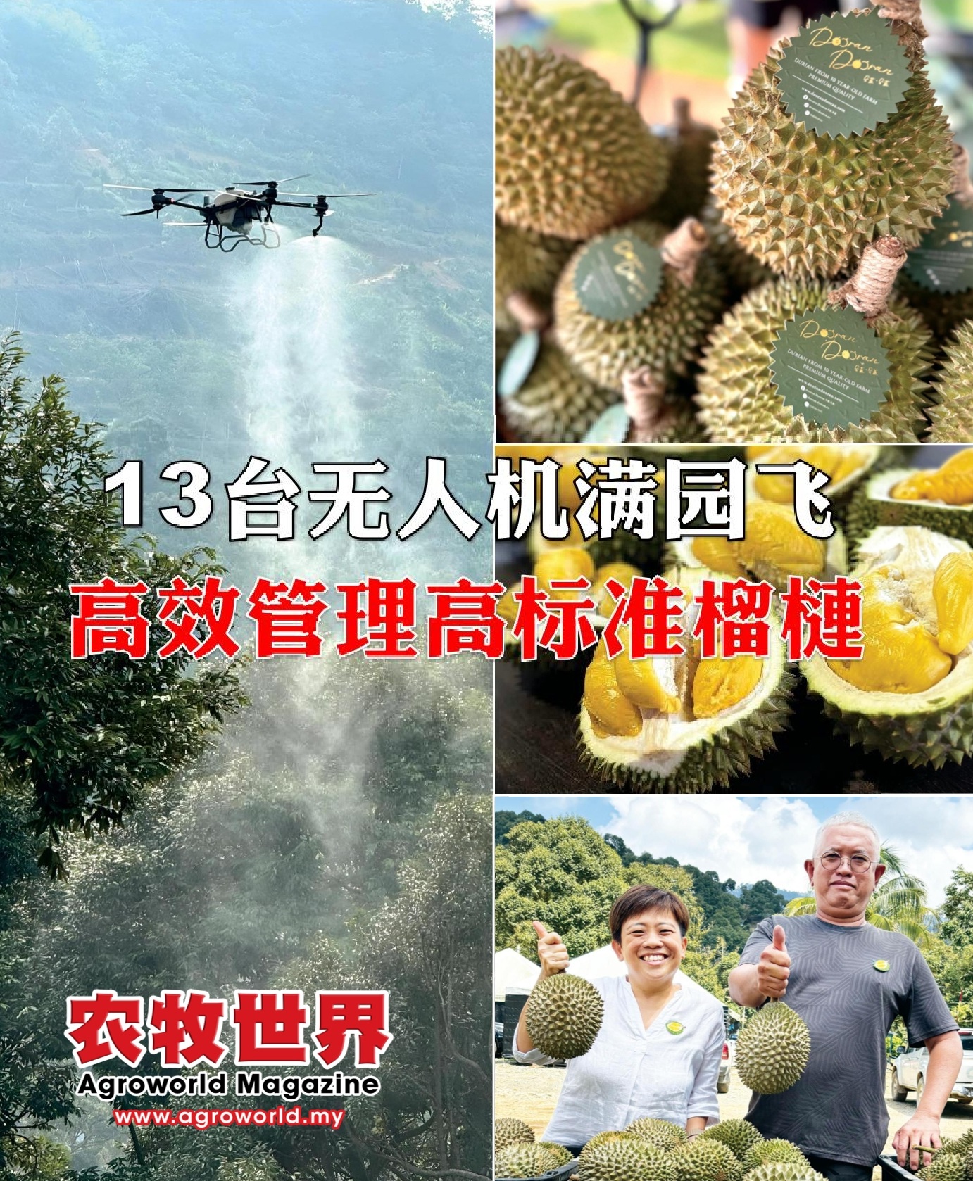 13台无人机满园飞  高效管理高标准榴梿 - 农牧世界