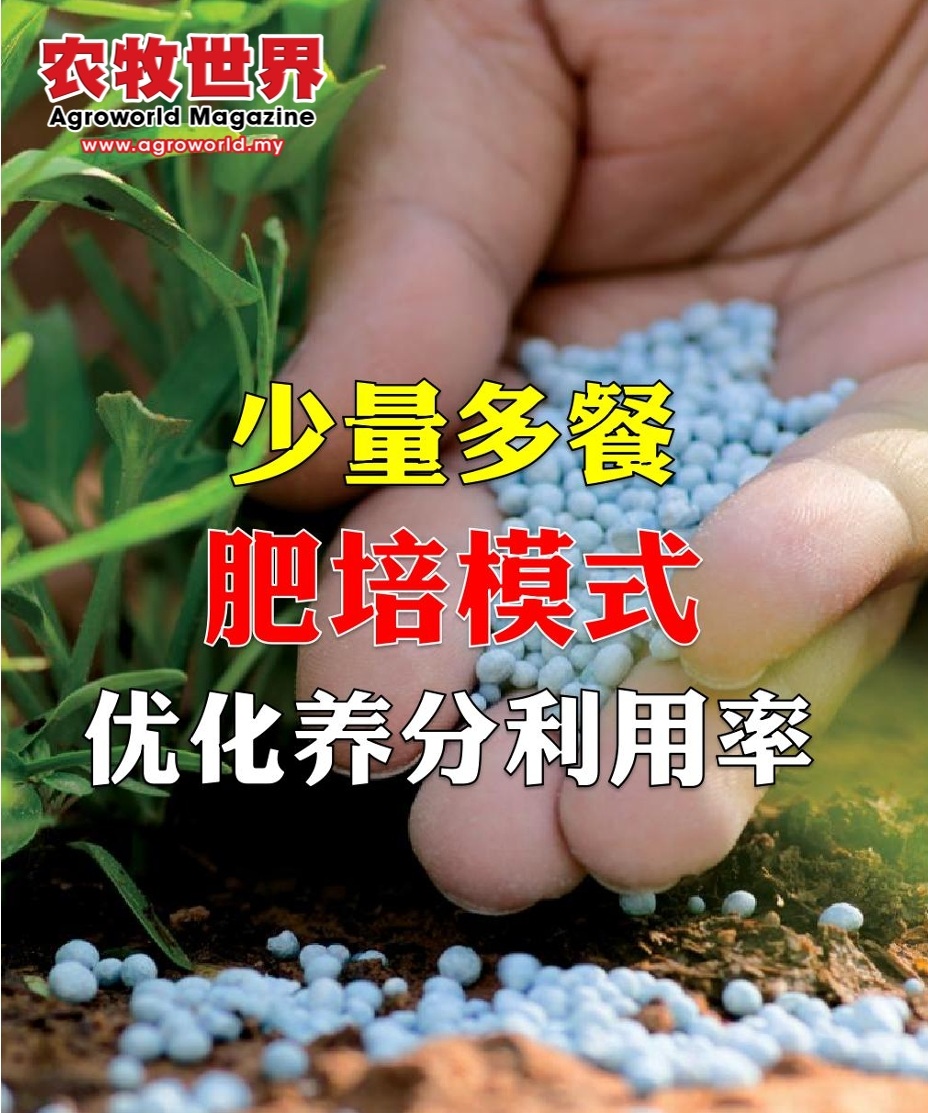 少量多餐肥培模式  優化養分利用率 - 农牧世界