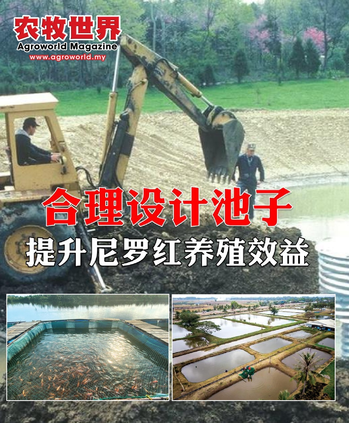 合理设计池子  提升尼罗红养殖效益 - 农牧世界