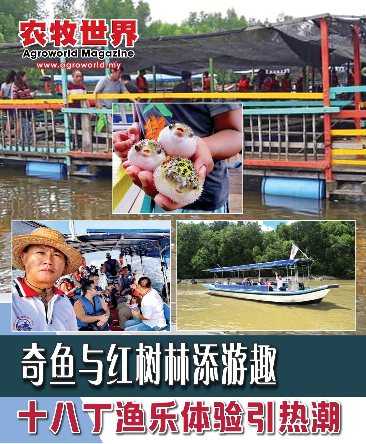 奇鱼与红树林添游趣  十八丁渔乐体验引热潮 - 农牧世界