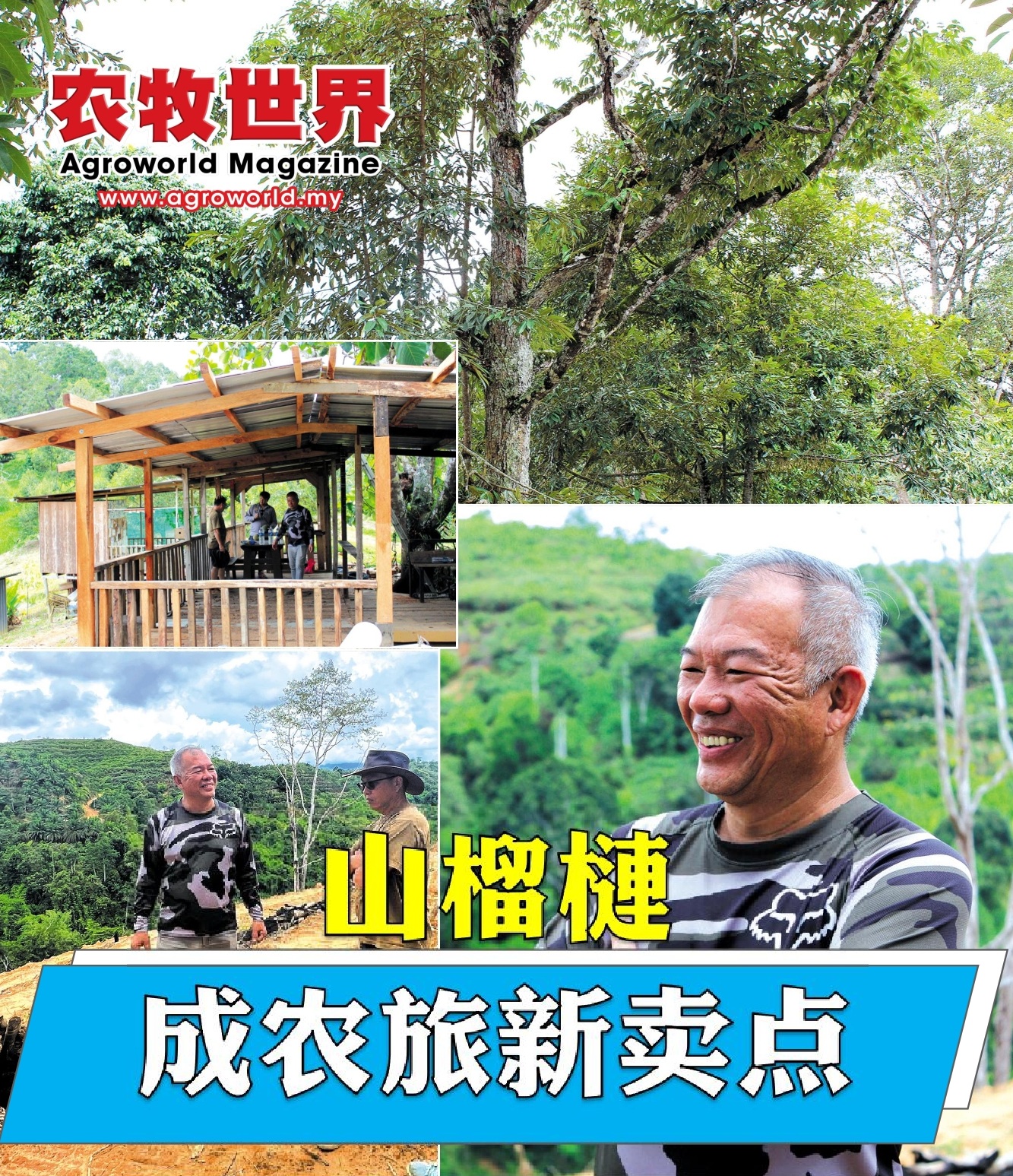 SOP缺口引发病害隐忧  山榴梿成农旅新卖点 - 农牧世界