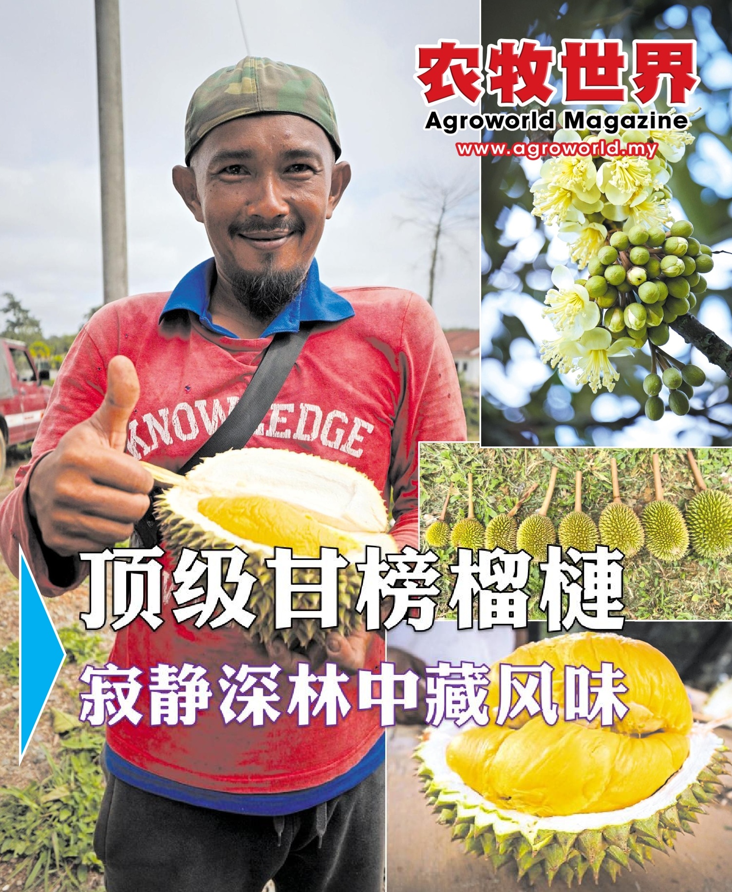 顶级甘榜榴梿  寂静深林中藏风味 - 农牧世界