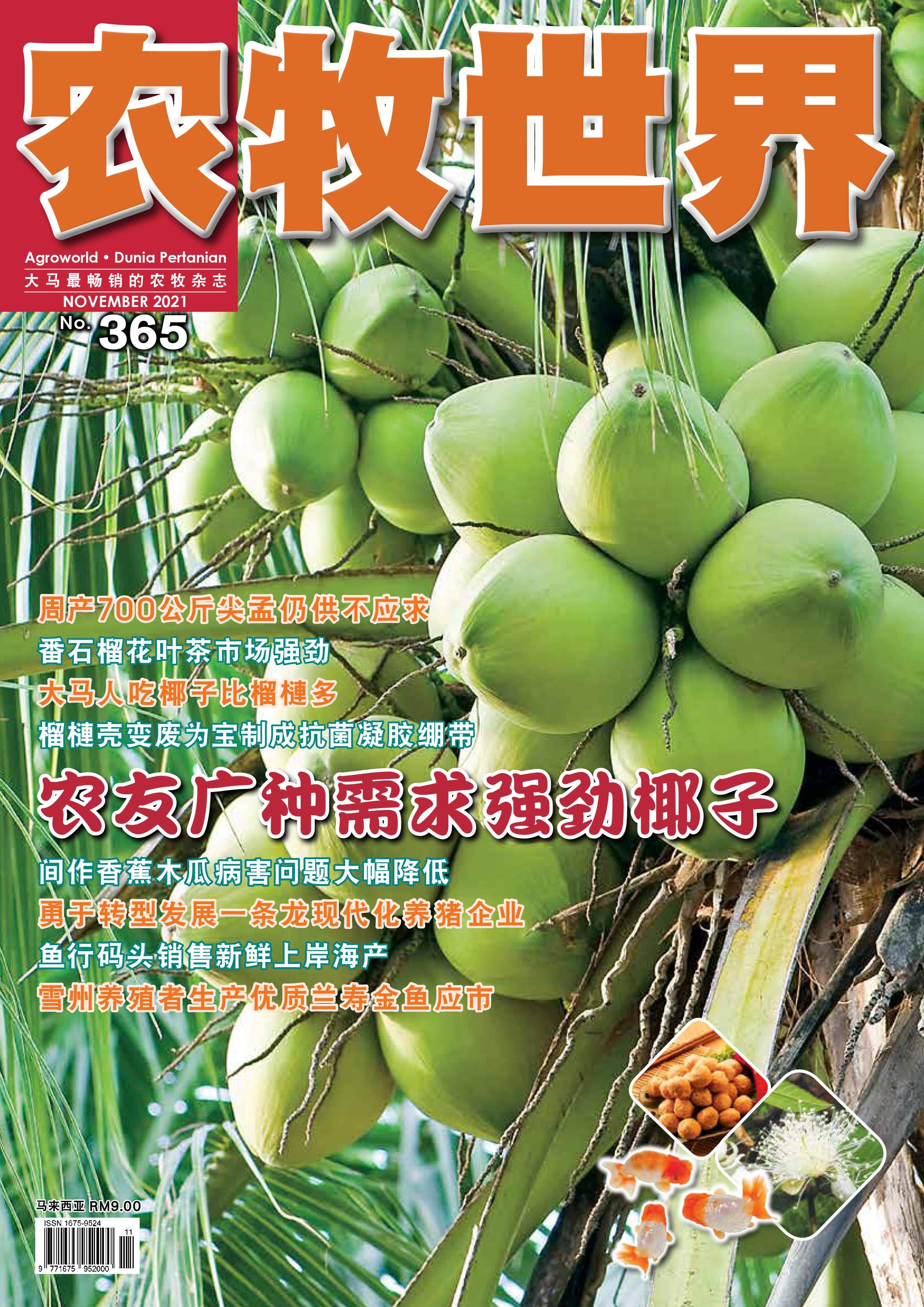 杂志：椰子种植 - 农牧世界