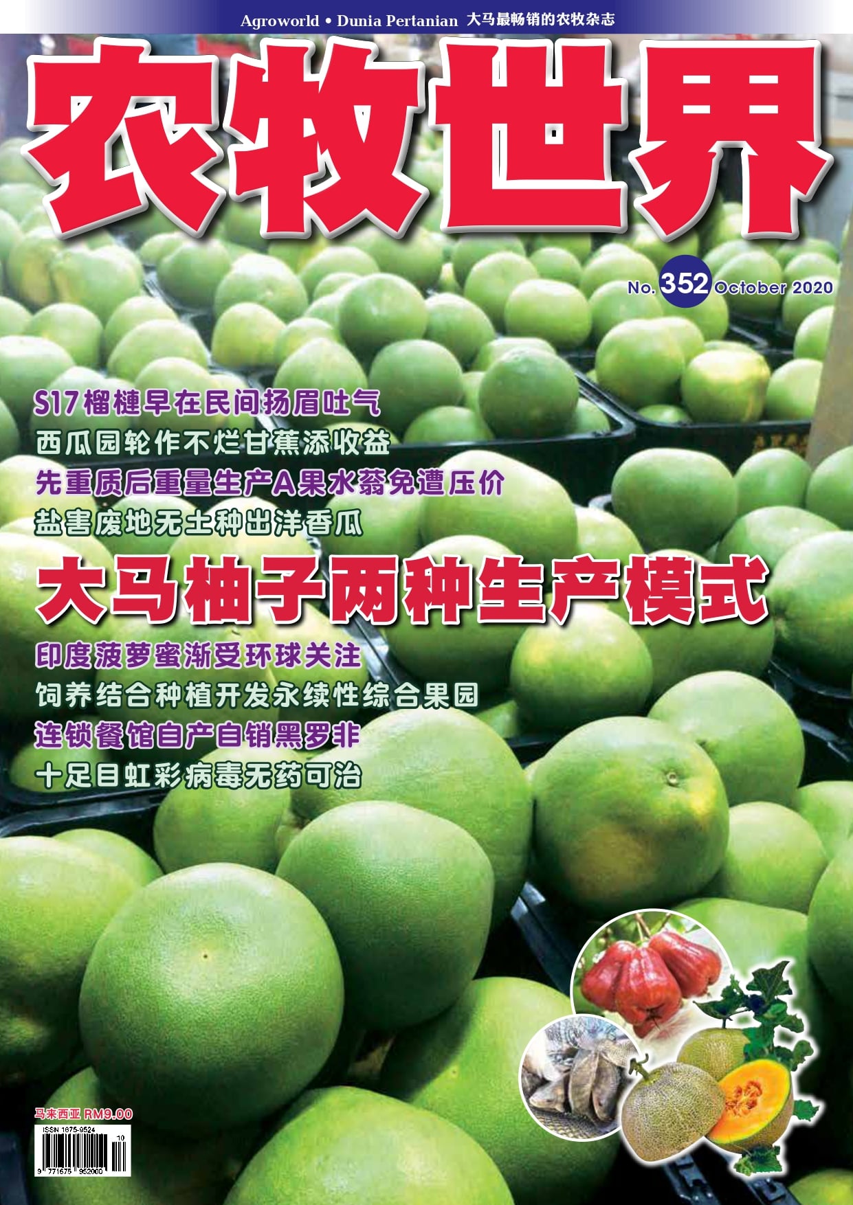 马来西亚柚子果 - 农牧世界