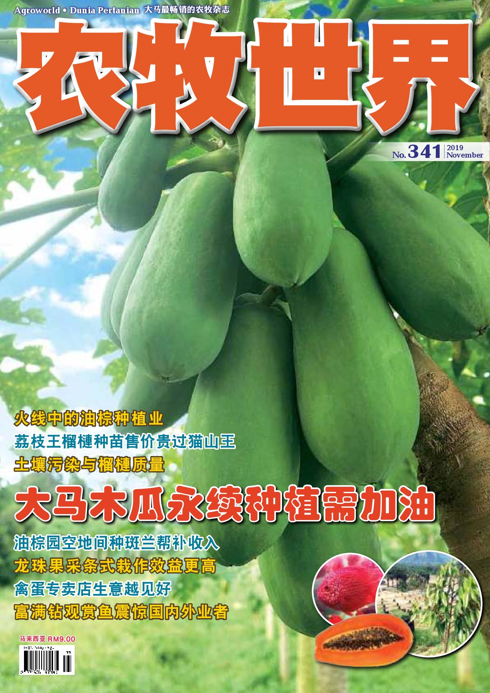 马来西亚的木瓜种植与栽培 - 农牧世界