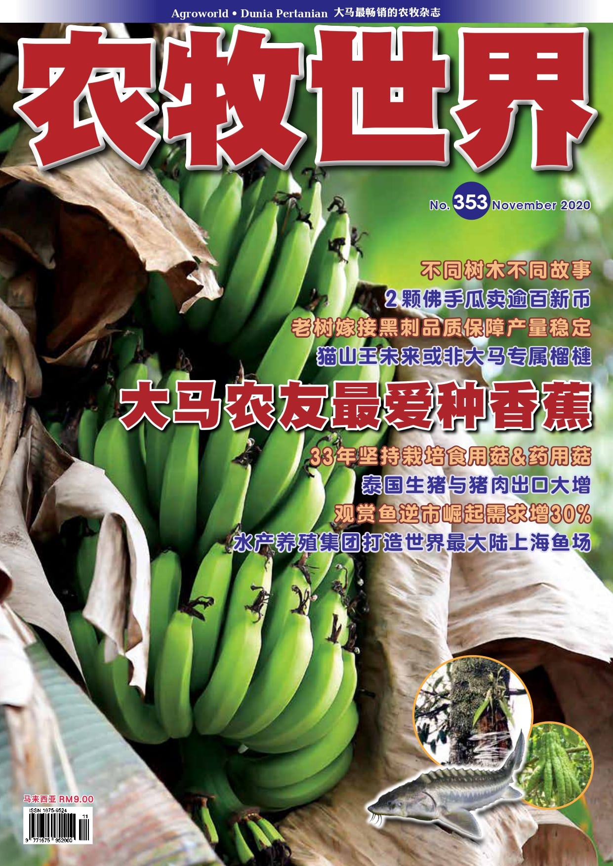 马来西亚香蕉杂志 - 农牧世界