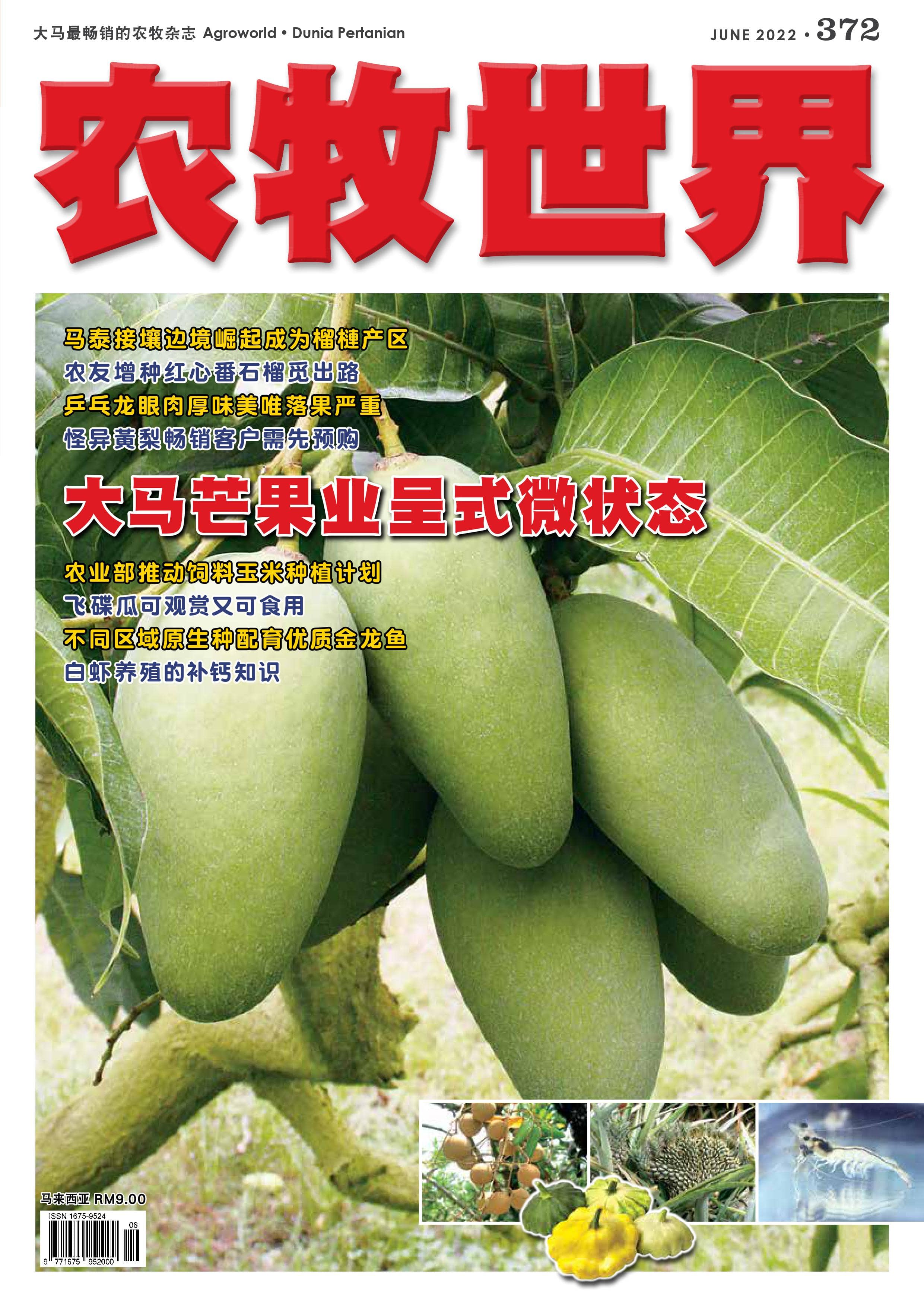 大马芒果业呈式微状态 (372) - 农牧世界