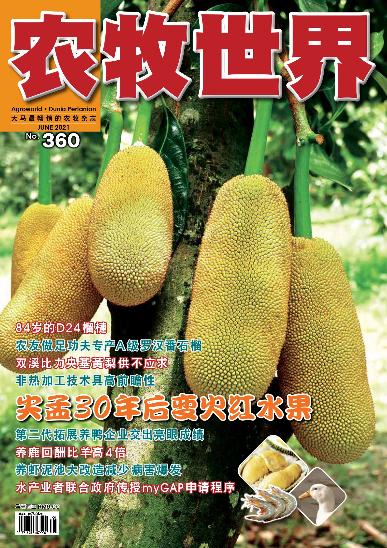 杂志：红菠萝蜜植物 - 农牧世界