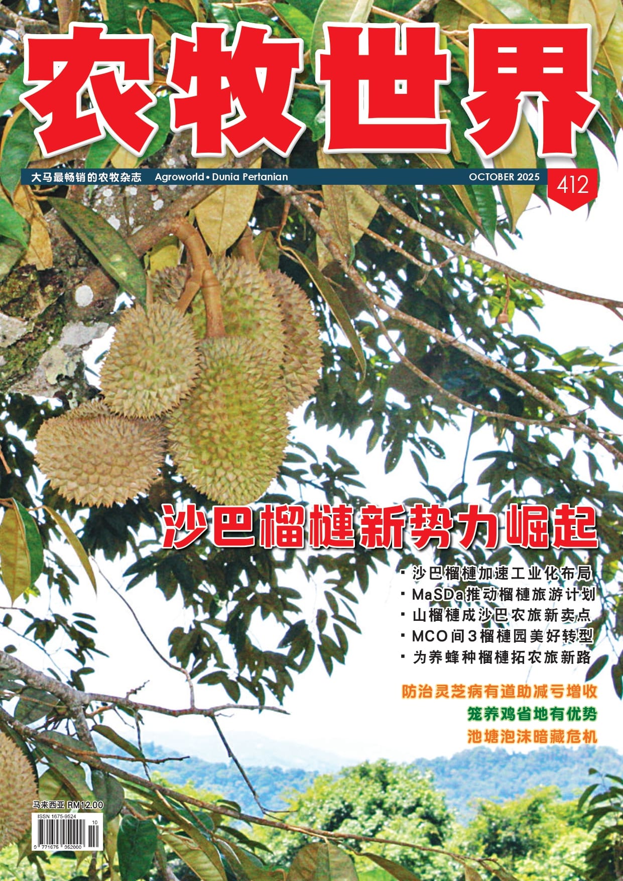沙巴榴 新势力崛起 (412) - 农牧世界
