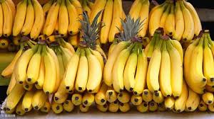 水果文章：香蕉生产 - 农牧世界
