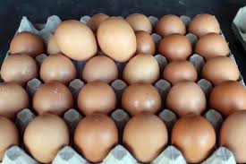 文章：鸡蛋供应、管理和价格上涨 - 农牧世界