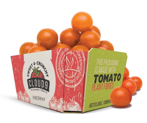 番茄纸盒：番茄植株 - 农牧世界
