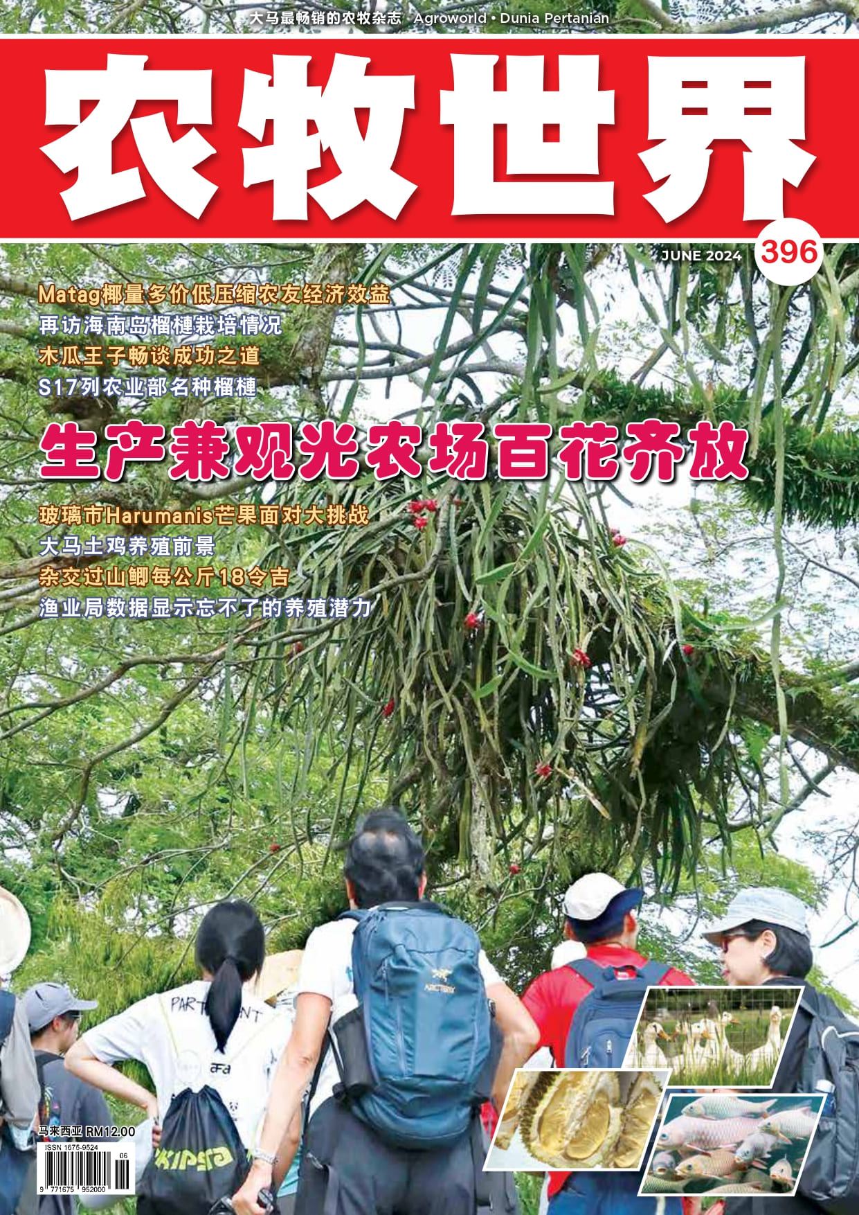 生产兼观光农场百花齐放 (396) - 农牧世界