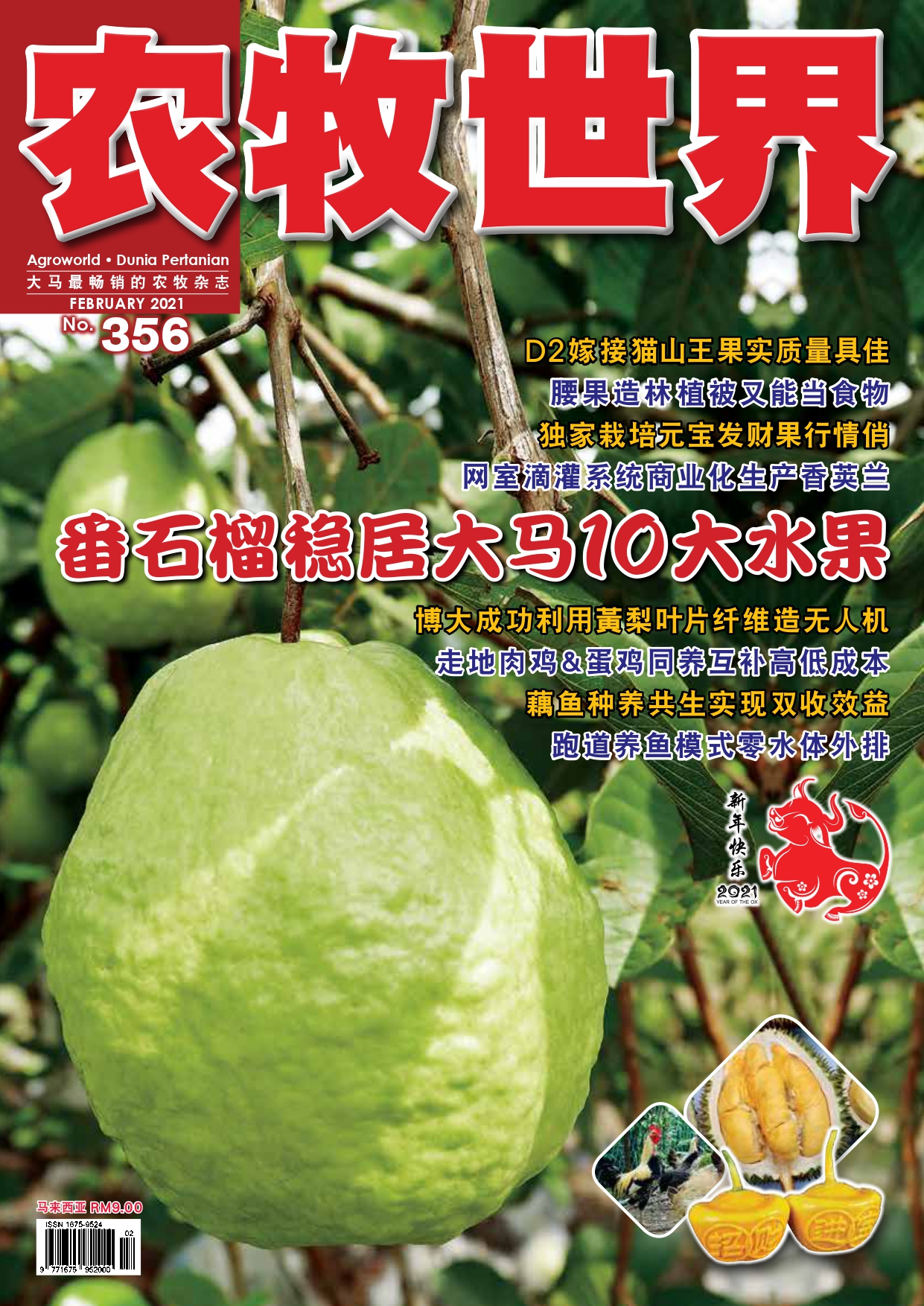 杂志：番石榴种植位居马来西亚十大水果之列 - 农牧世界