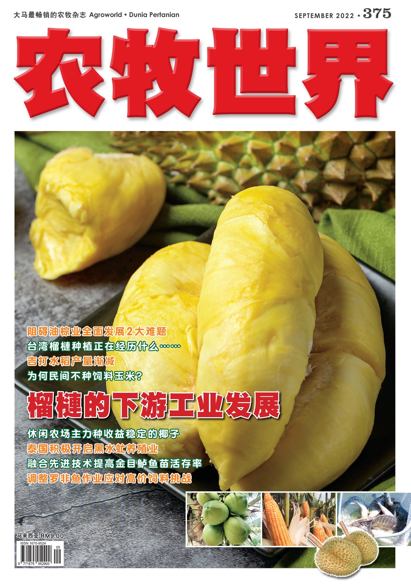 奇妙水果：番石榴--陕西省西安植物园 陕西省植物研究所