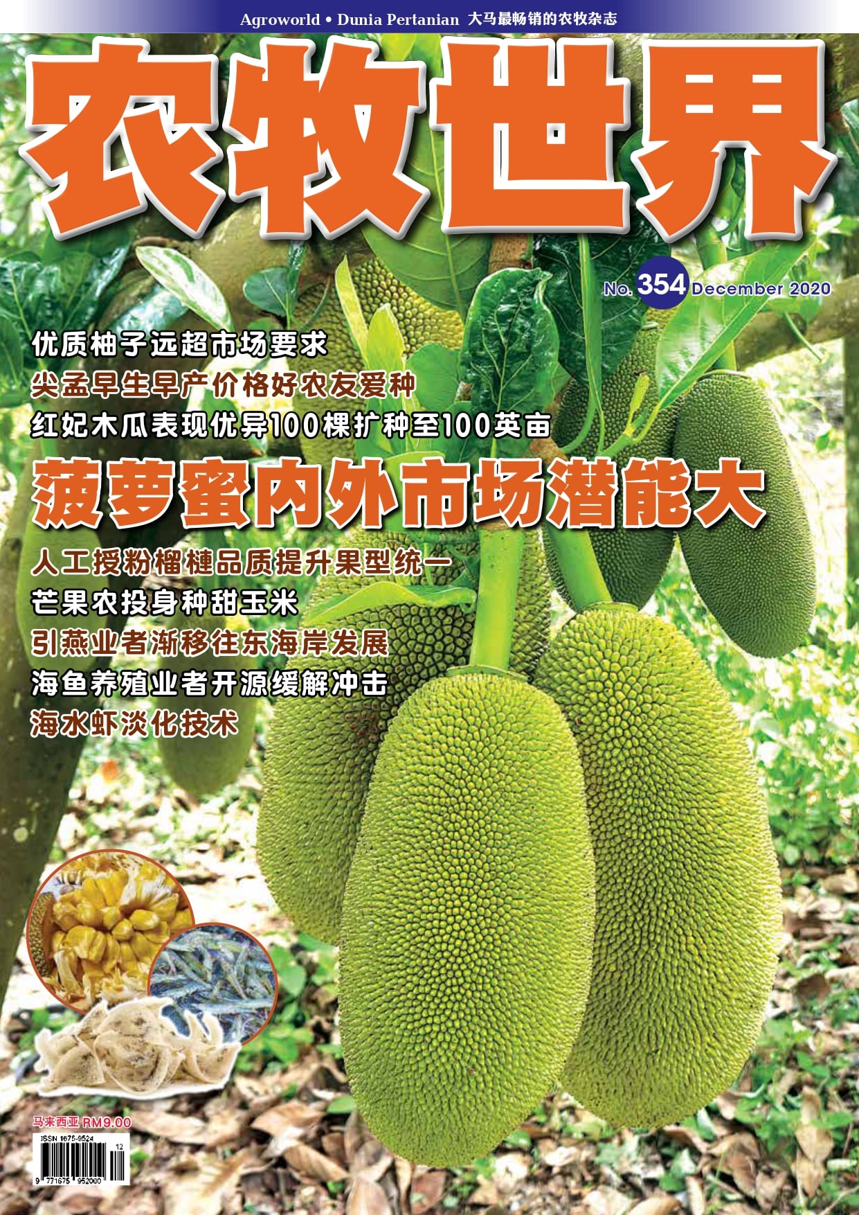 杂志：菠萝蜜在马来西亚潜力巨大 - 农牧世界