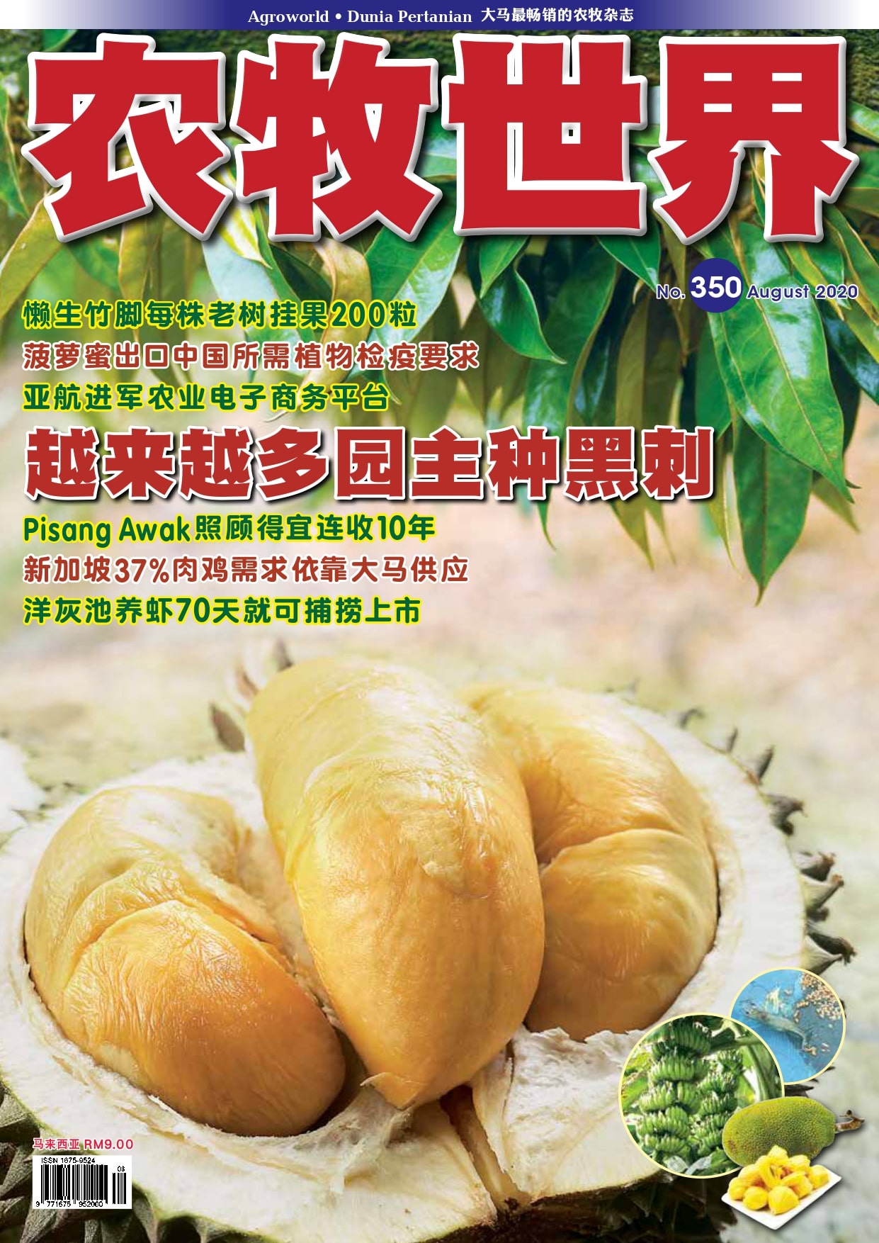 杂志：种植黑刺 - 农牧世界