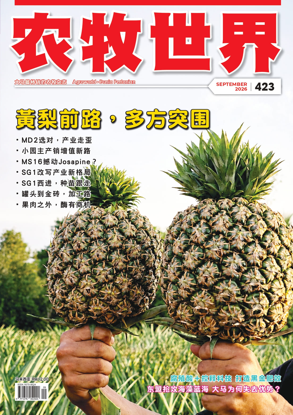 黄梨前路，多方突围(423) - 农牧世界