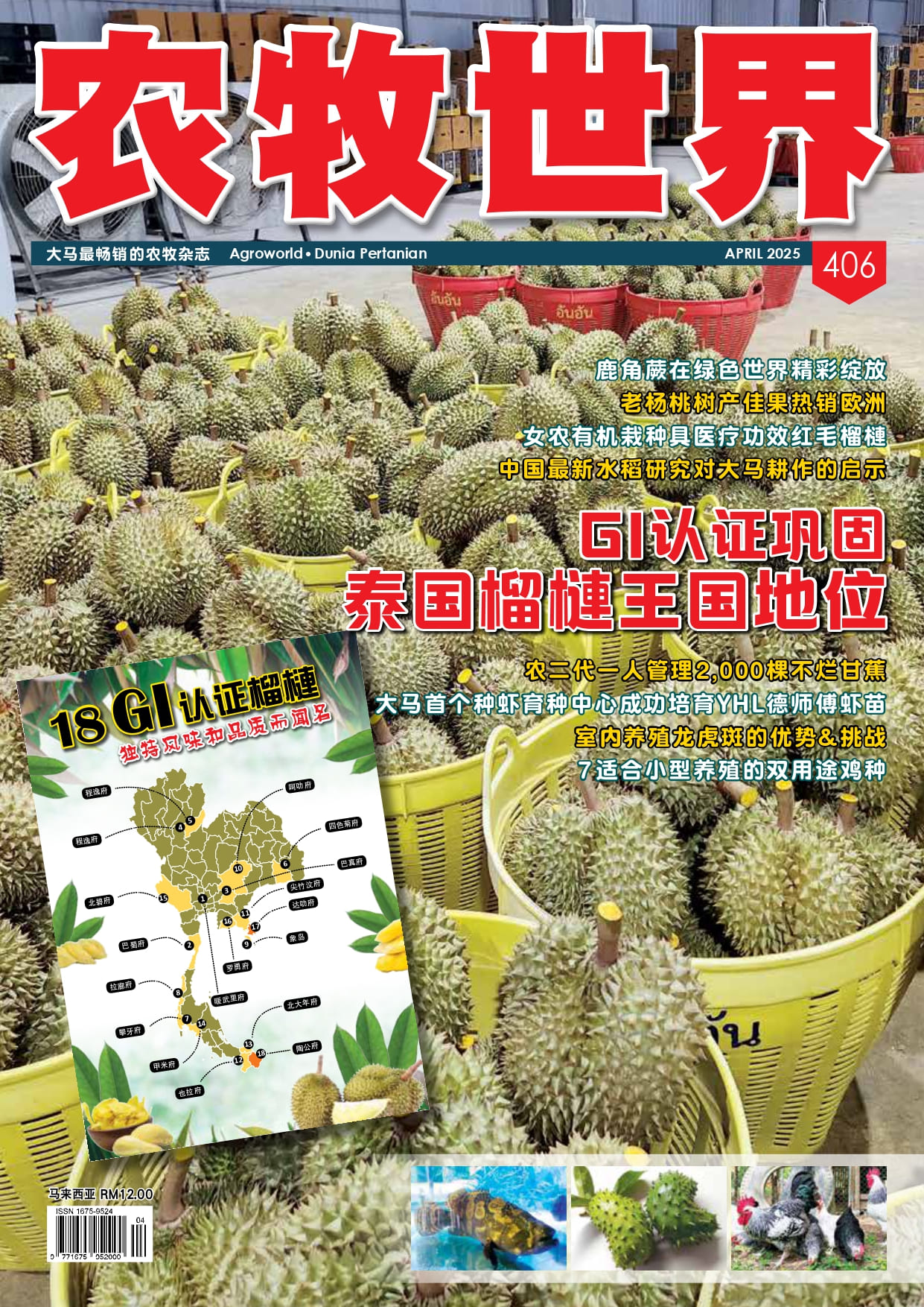 GI认证巩固 泰国王国地位 (406) - 农牧世界