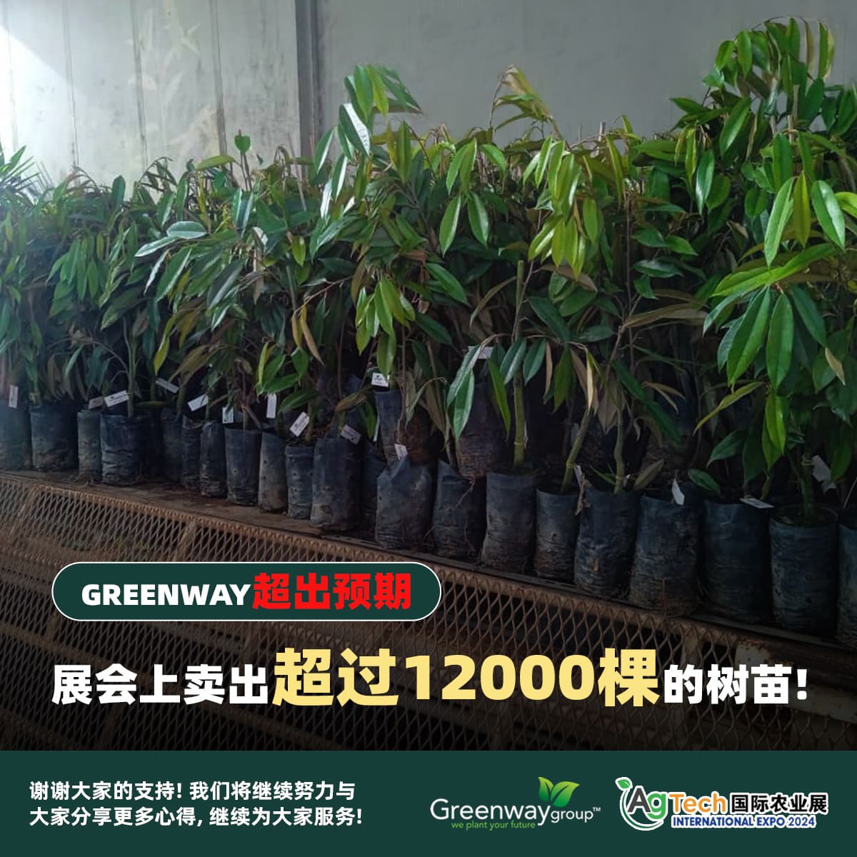 Greenway 成功在展会上卖出超过一万两千棵的树苗！感谢农友们的大力支持！ - 农牧世界