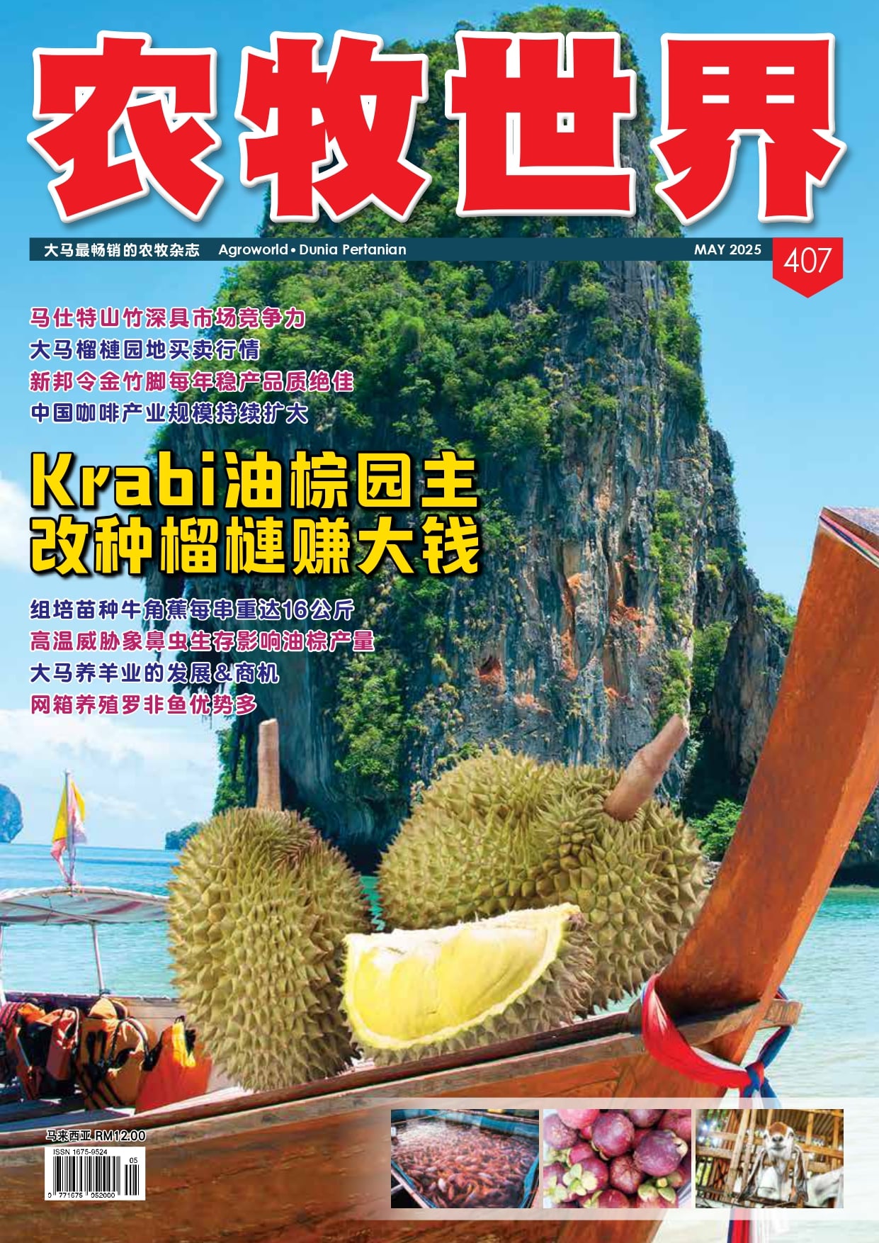 Krabi油棕园主 改种榴 赚大钱 (407) - 农牧世界