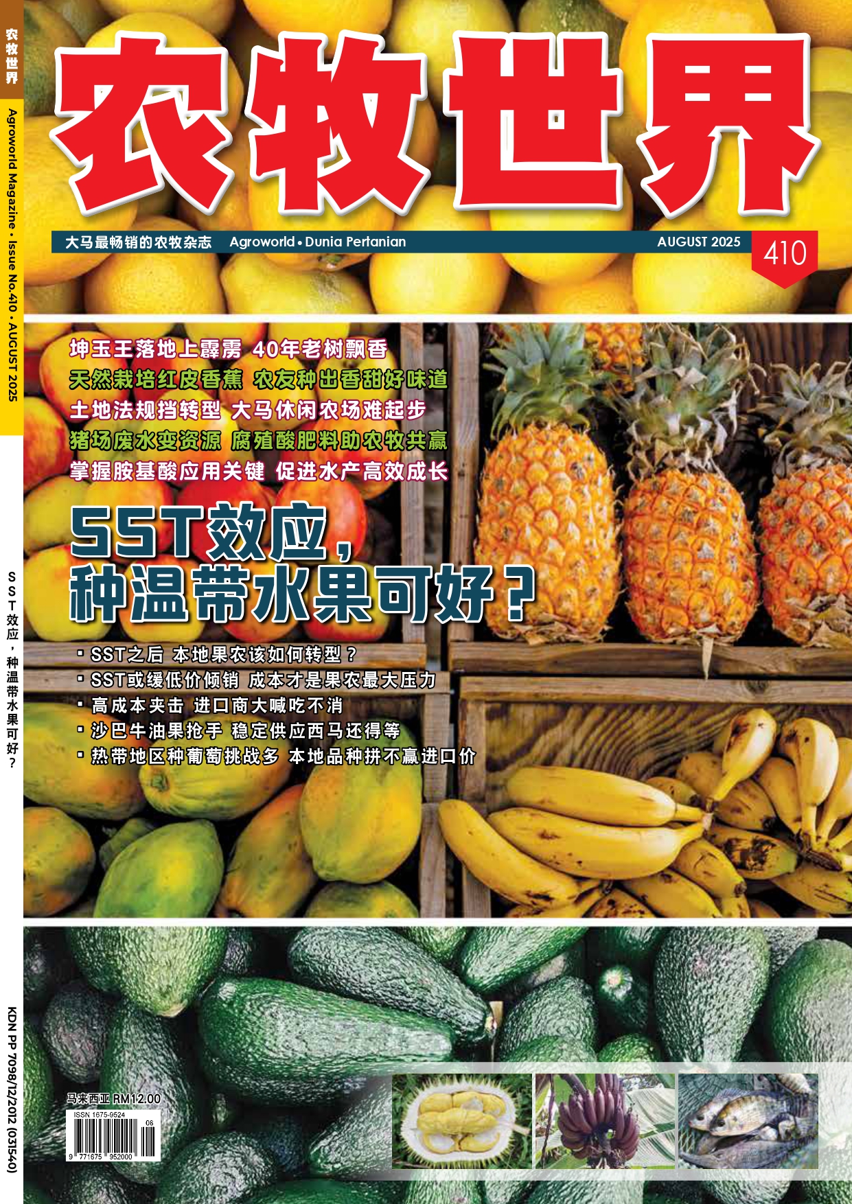 SST效应， 种温带水果可好？(410) - 农牧世界